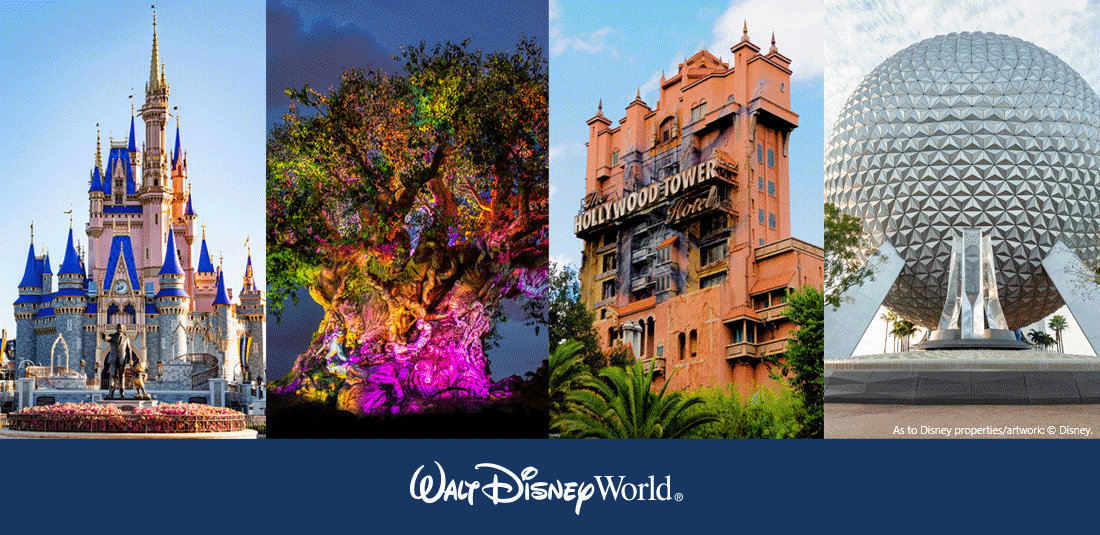 Walt Disney World Tickets CAS Ratemaking Product And Modeling Seminar walt-disney-world-tickets-cas-ratemaking-product-and-modeling-seminar